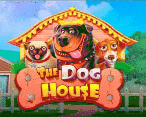 The Dog House